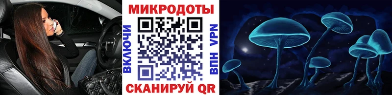Галлюциногенные грибы MAGIC MUSHROOMS  цены наркотик  Лахденпохья 